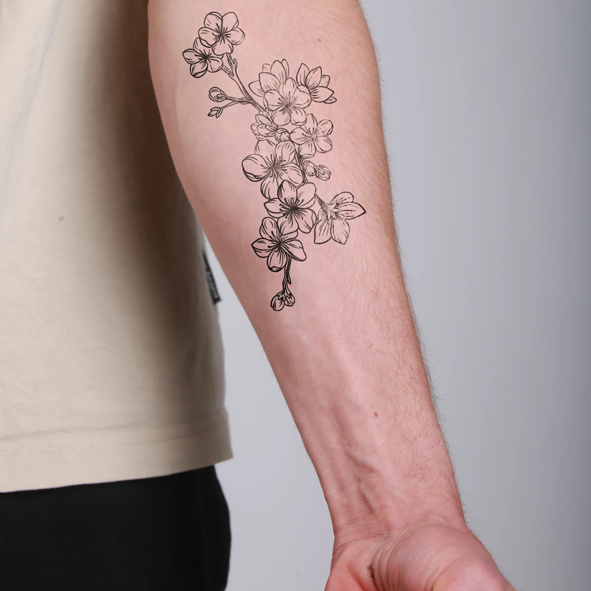 Cerisier en fleurs - Image 4