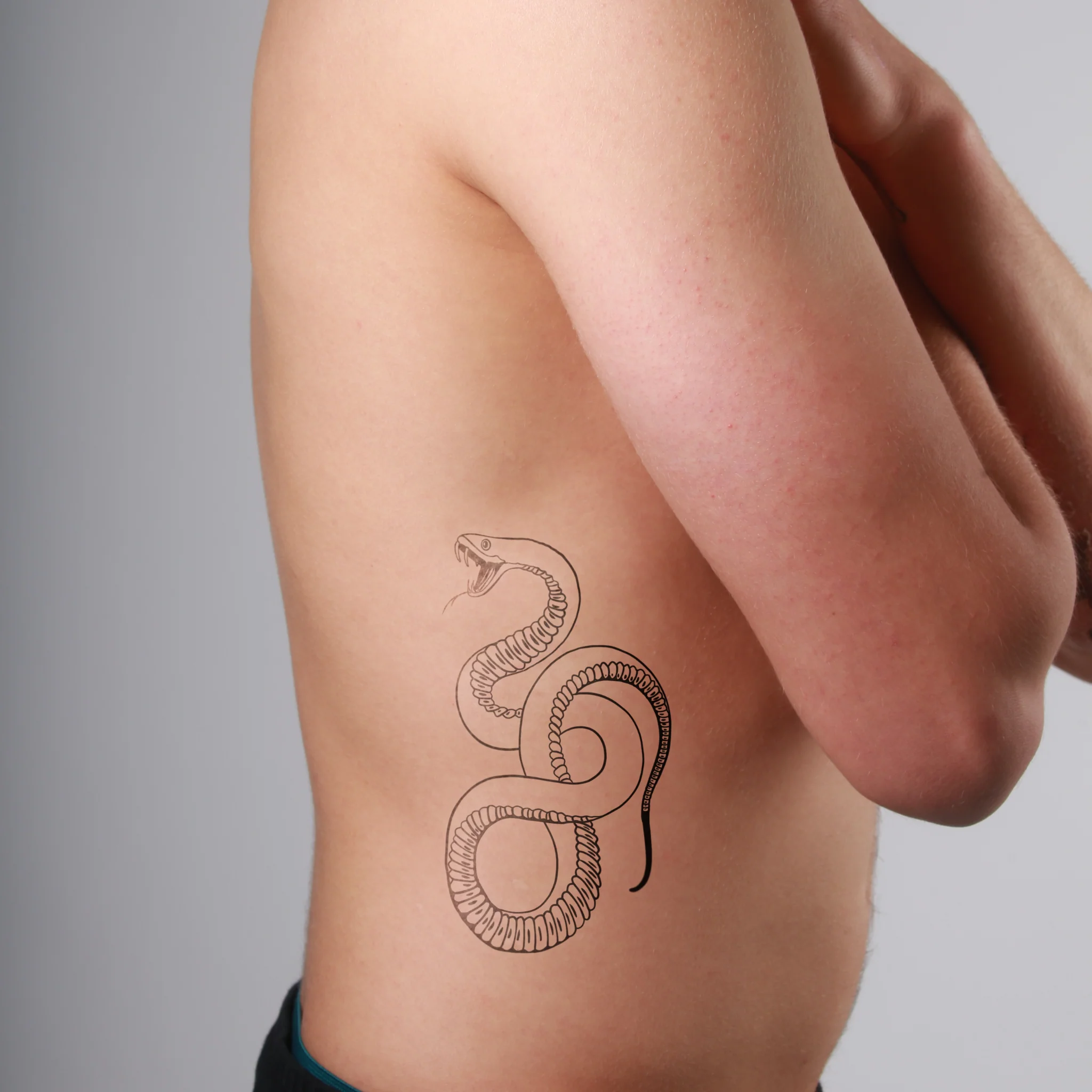 Serpent féroce - Image 5